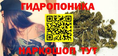 сатива Ирбит