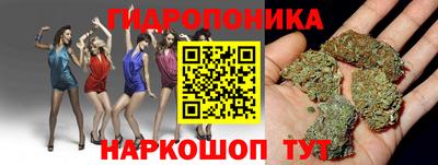 сатива Ирбит