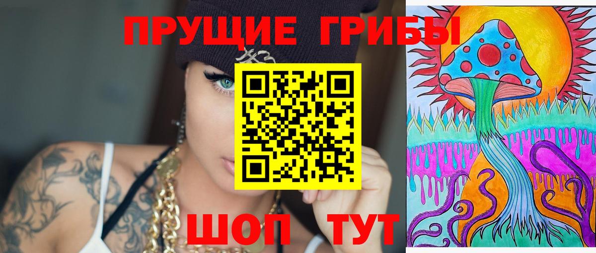Галлюциногенные грибы Psilocybine cubensis Тельмана