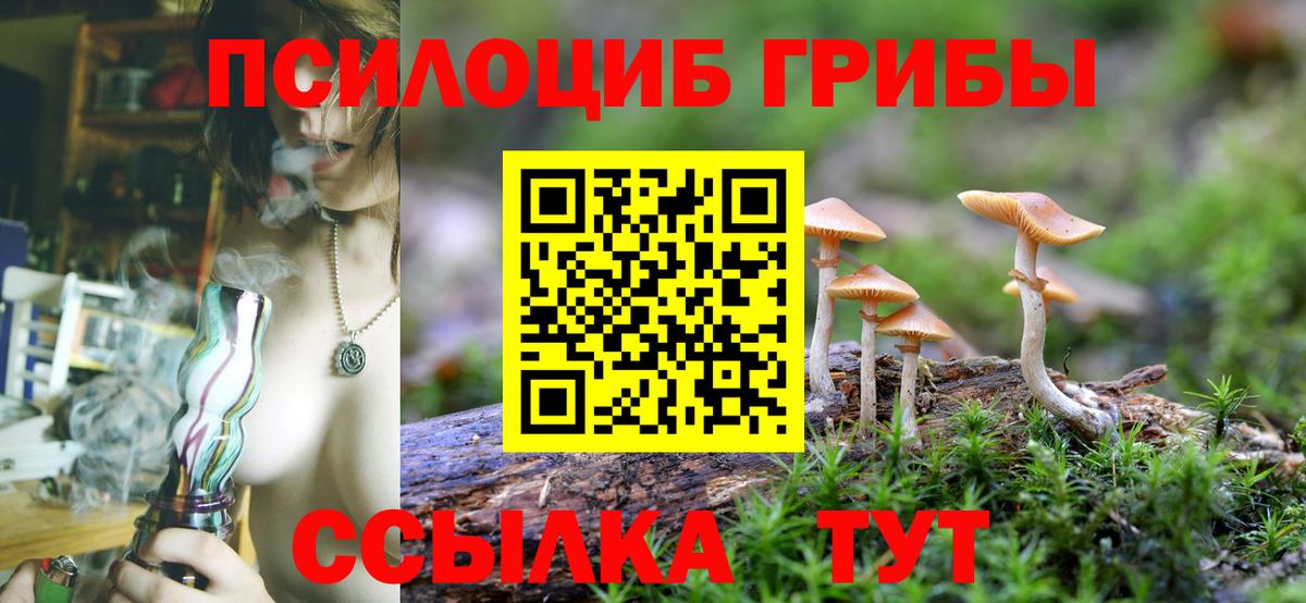 Псилоцибиновые грибы ЛСД  Вход с VPN  Тельмана 